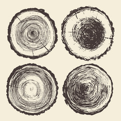 Tree Trunk Sections - Circular Grain vector image