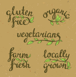 lettering - organic natural food vegan Vector Image