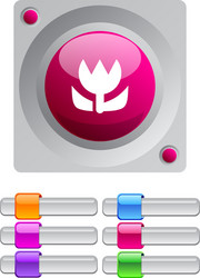 macro color round button vector image