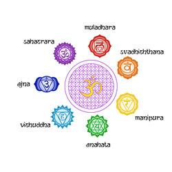 Set of 7 chakras Royalty Free Vector Image - VectorStock