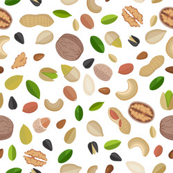 Seamless pattern with of nuts Royalty Free Vector Image
