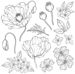 Set of outline summer red poppy flowers vector