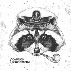 hipster animal raccoon captains cap and pipe Vector Image