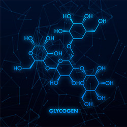 glycogen molecular structure with network vector image