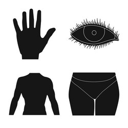 isolated object human and part symbol set vector image