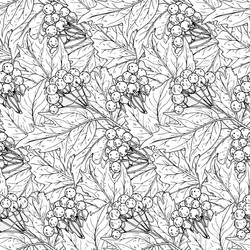 seamless pattern with hand drawn guelder rose Vector Image