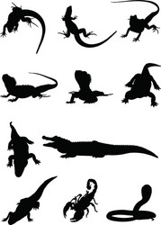 Seamless Reptile Pattern Vector Image