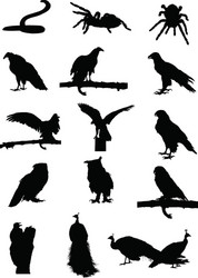 Elegant Silhouette of a Bird in Flight Vector Image