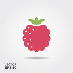 Ripe Raspberry Icon with Shadow vector image