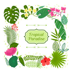 tropical paradise card with stylized leaves Vector Image