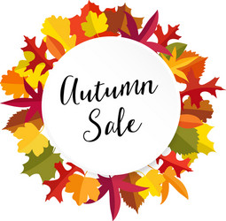 Autumn fall sale banner with colorful leaves vector