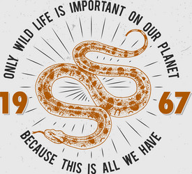 viper snake serpent cobra and python anaconda vector image