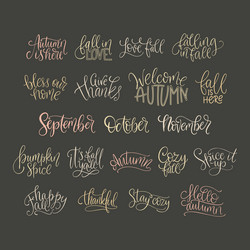 Hand lettering alphabet calligraphy Royalty Free Vector