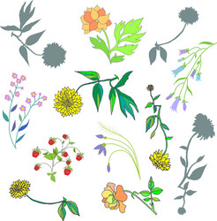 decorative design elements Vector Image