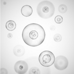 Science background with cells Royalty Free Vector Image