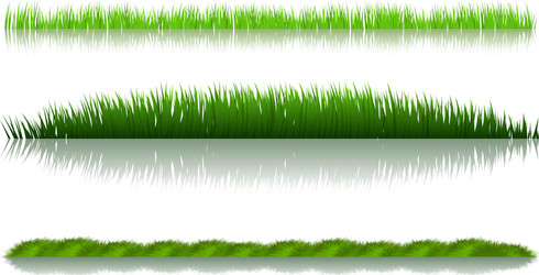 Grass Royalty Free Vector Image - VectorStock
