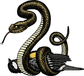 viper snake serpent cobra and python anaconda vector image