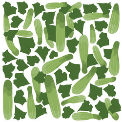 cucumber print pattern wallpaper design vector image