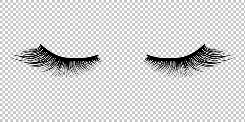 Eyelash-extensions - Blush Anime Eyes Png, Transparent Png, free png  download