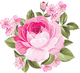 blooming rose vector