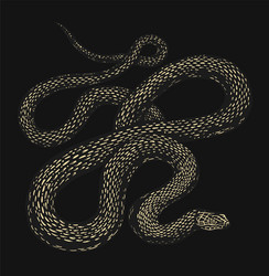 python in vintage style on a black background vector image