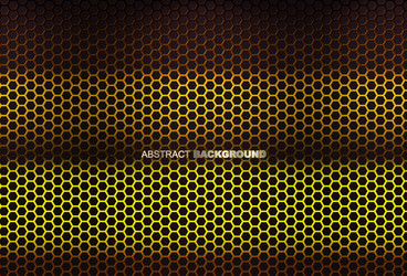 abstract color light hexagon line vector image