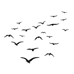 birds fly high Vector Image