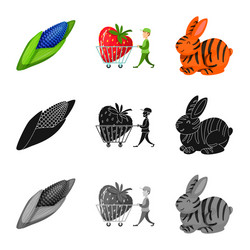 isolated object test and synthetic logo set vector image