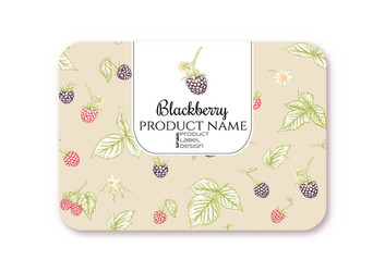 raspberry ripe berries on branch template vector image