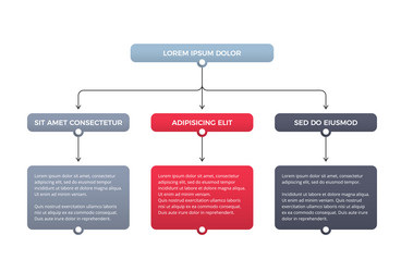 flowchart with 3 elements vector image