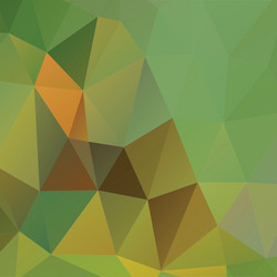 polygonal abstract geometry background vector image