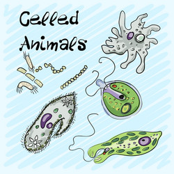 Set of single-celled animals hand-drawn on a blue vector