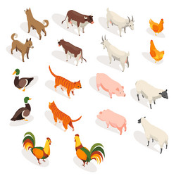 Farm Animals Isometric Set Vector Image