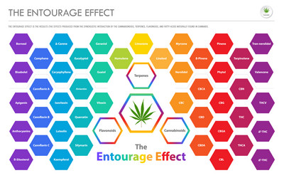 Entourage Vector Images (over 660)