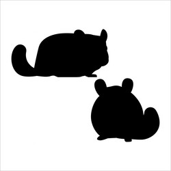 set of cute chinchilla silhouettes vector