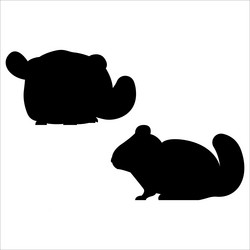 set of cute chinchilla silhouettes vector