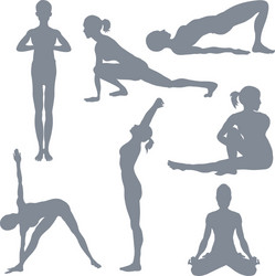 Yoga Posture Collection Vector Image