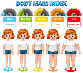 visual representation of bmi categories and ranges vector image