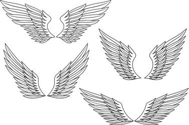 heraldic wings Vector Image