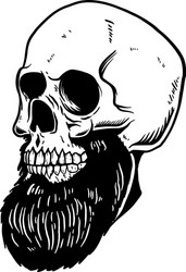 Bearded Skull Element Vector Image