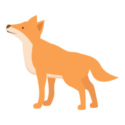 Cute dingo dog icon cartoon wild animal vector