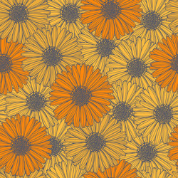 Calendula flower pattern Royalty Free Vector Image