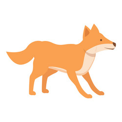 Dingo dog play icon cartoon wild animal vector