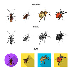 design insect and beetle symbol vector image