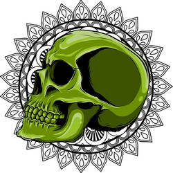 colored draw of human skull Vector Image