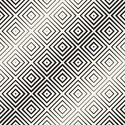 Monochrome Line Lattice Pattern vector image