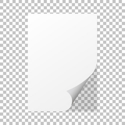 paper curl on a isolated background with shadow vector