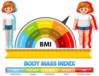 visual representation of bmi categories and ranges vector image