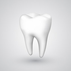 Realistic 3d tooth isolated on transparent Vector Image