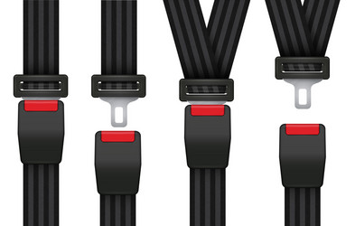 Set locked unlocked detailed seatbelts vector